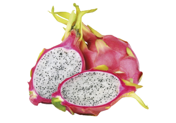 Pitahaya